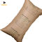 Inflatable 5ply Cargo PE Coated Kraft Dunnage Bags